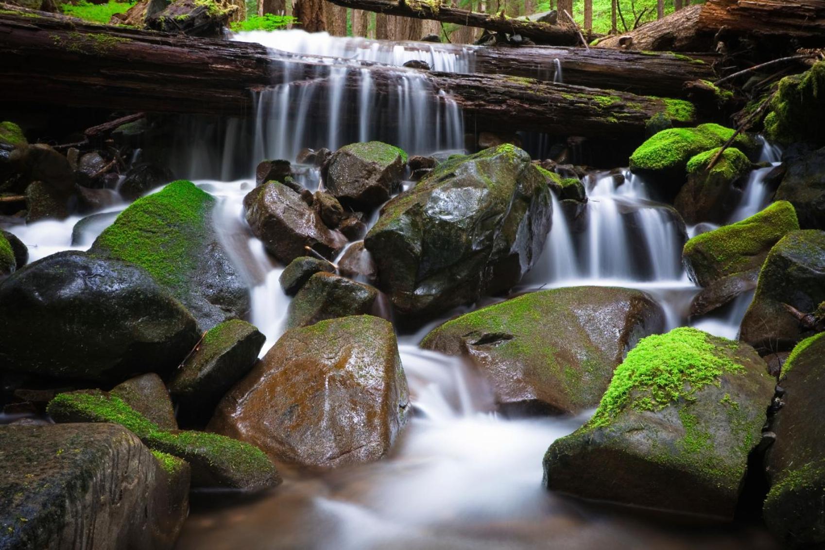Sol Duc Hot Springs Resort Ovington Εξωτερικό φωτογραφία