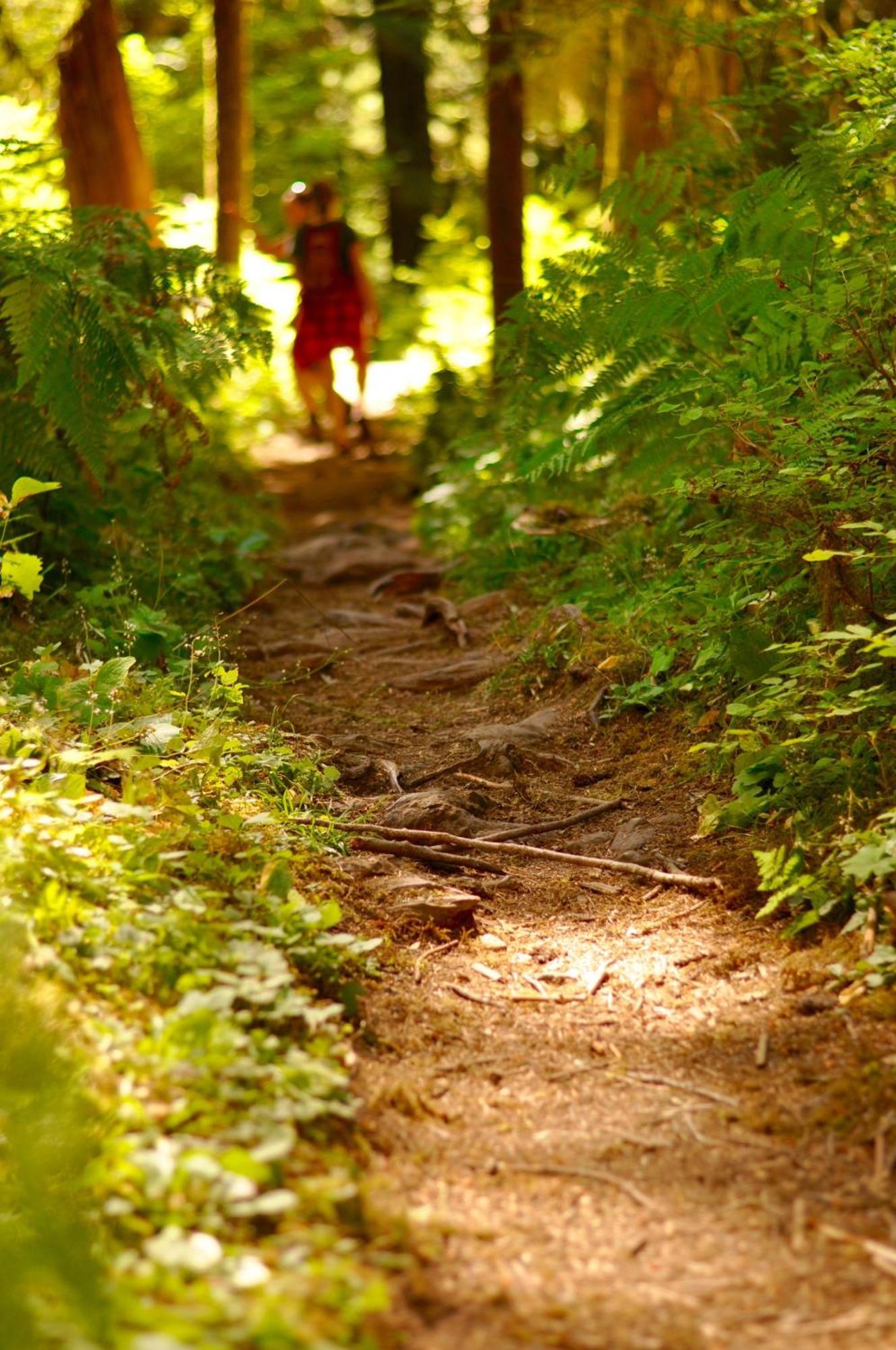 Sol Duc Hot Springs Resort Ovington Εξωτερικό φωτογραφία